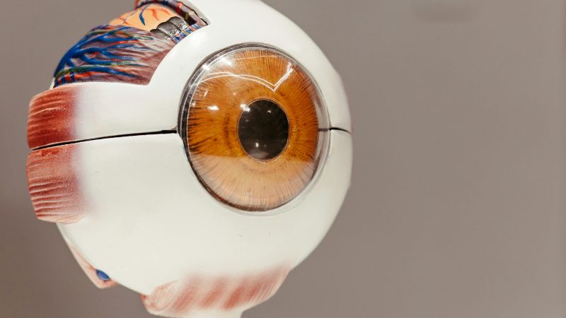 melhor ferramenta de inteligência artificial